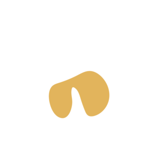 1331f787-placeholder-1770016260