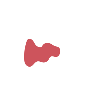 88ceeb04-placeholder-1770011023