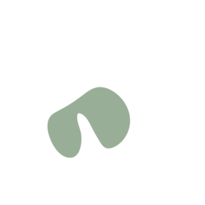 B550f266-placeholder-1769021774