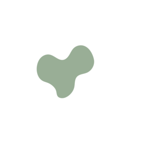 B258929d-placeholder-1770014713