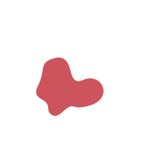 1325cdae-placeholder-1770021318