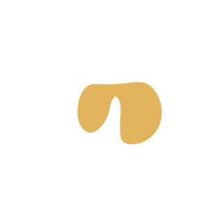 2c97f1bc-placeholder-1770056420