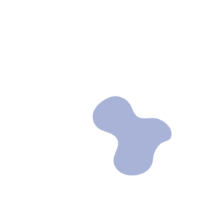 D3438b91-placeholder-1770016750