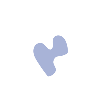 D4f31b02-placeholder-1770008444