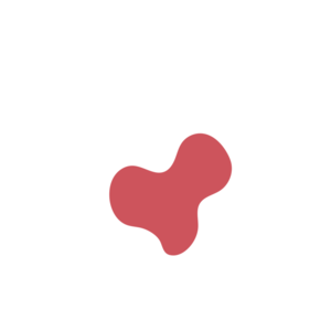 89ae486a-placeholder-1770012256