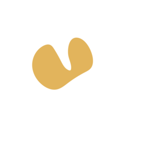 235e9584-placeholder-1770005632