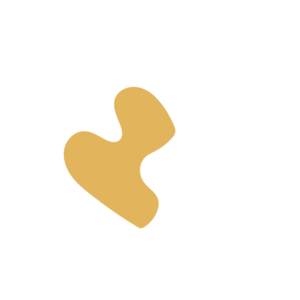 A13247ed-placeholder-1770029492