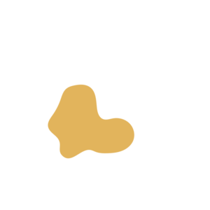 Cc3ca49b-placeholder-1770010969