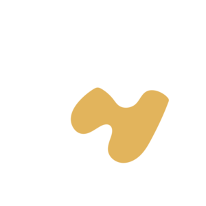 555a4dc6-placeholder-1769641113