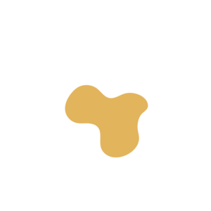 4b1b4772-placeholder-1769110025