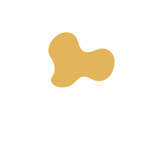 B06baa5b-placeholder-1770013811