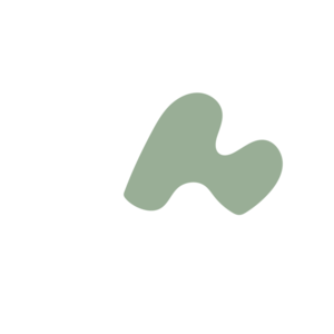 A76077f2-placeholder-1770040512