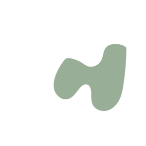 44f3f177-placeholder-1769435449