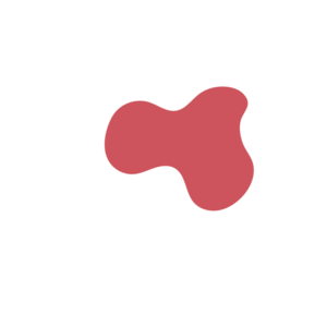 E4d51093-placeholder-1770006313