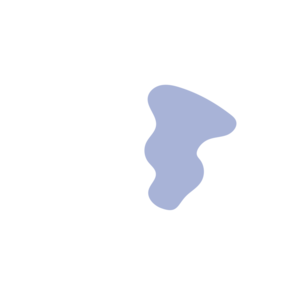 F8094994-placeholder-1770051663