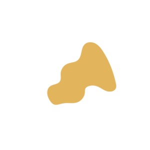 E7c8ad5c-placeholder-1770005646