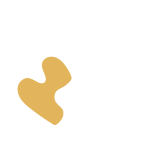 7104a226-placeholder-1769761509