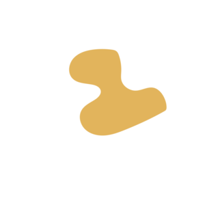 4a85270d-placeholder-1770027772