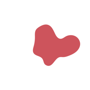 Fa56f3f0-placeholder-1770007560