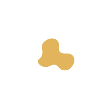 98530f53-placeholder-1770018990