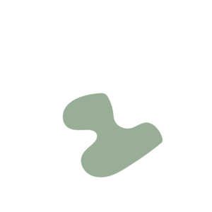 282864d0-placeholder-1770047734