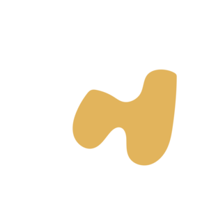 95a6fc11-placeholder-1770057293