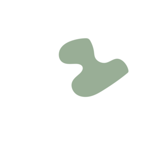 3f7a3adf-placeholder-1770008573