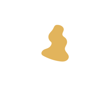 49735936-placeholder-1770024765