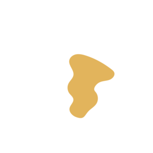 Ac6e3ad6-placeholder-1770011550