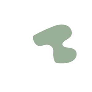 01155804-placeholder-1770020539