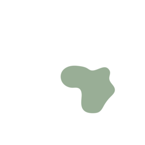 6f8cc45b-placeholder-1770005422