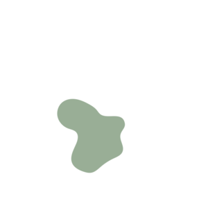 065616a3-placeholder-1770013902