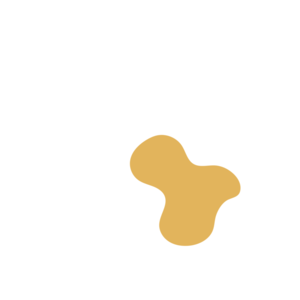 8eb488fe-placeholder-1770014149