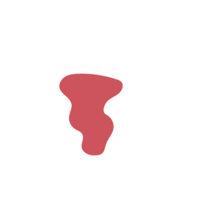 A7ba1b4b-placeholder-1770006443