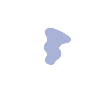 024b2213-placeholder-1770007583