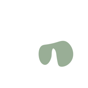 E2d24cd2-placeholder-1769303355