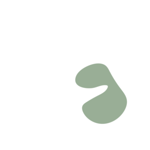 7c7cd746-placeholder-1770018941