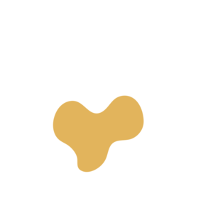 7198d43e-placeholder-1770021766