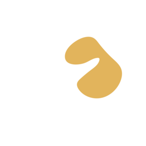 5327a43b-placeholder-1770023427