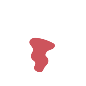 7a593fa2-placeholder-1770004974