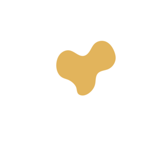 26d6e896-placeholder-1770006856