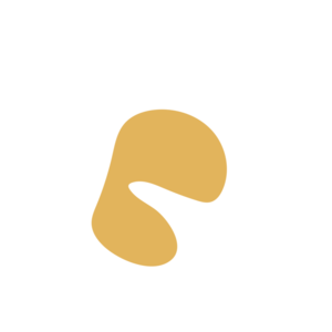 76d5b2b9-placeholder-1770013605