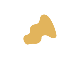 C373487b-placeholder-1770018413