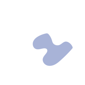 Bf2f94c0-placeholder-1770013771