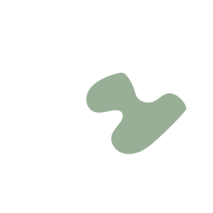 Bb4b9020-placeholder-1770017470