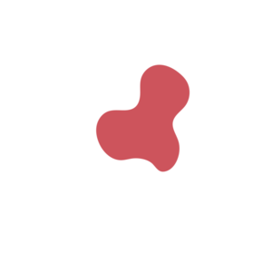 Aab72458-placeholder-1770024980