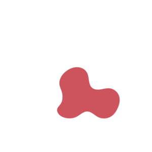 88015cc9-placeholder-1770004973