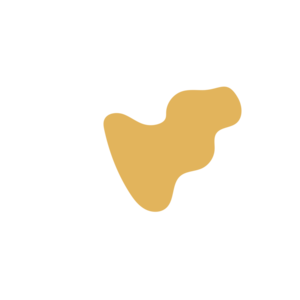 613bdc73-placeholder-1770007613