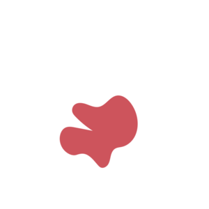 8c476a8a-placeholder-1770018241