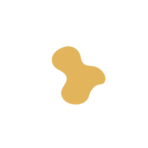 A97c07b1-placeholder-1770006475